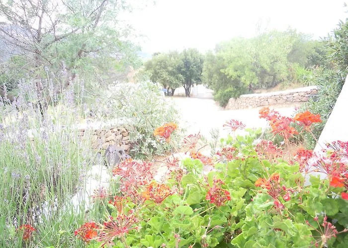 Agriturismo Camisadu