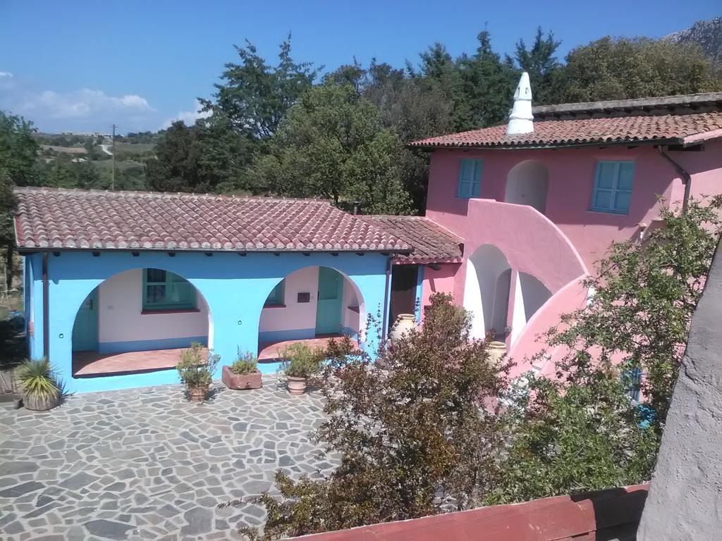 Camisadu Farm stay *