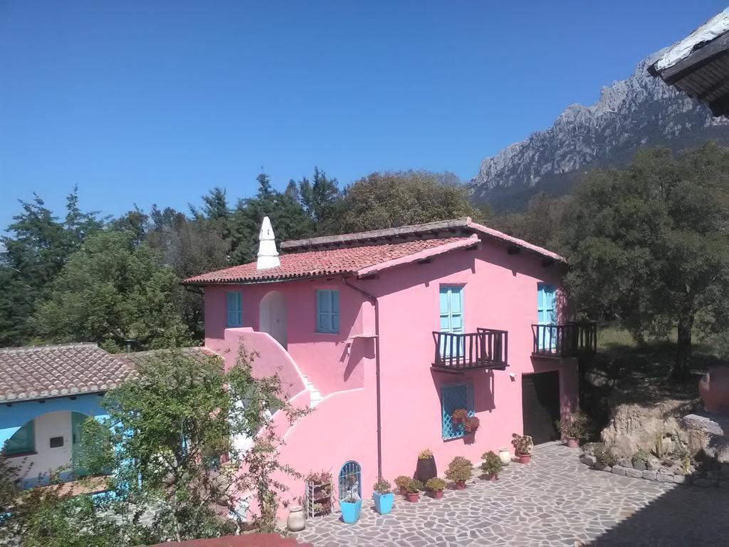 Farm stay Camisadu Oliena
