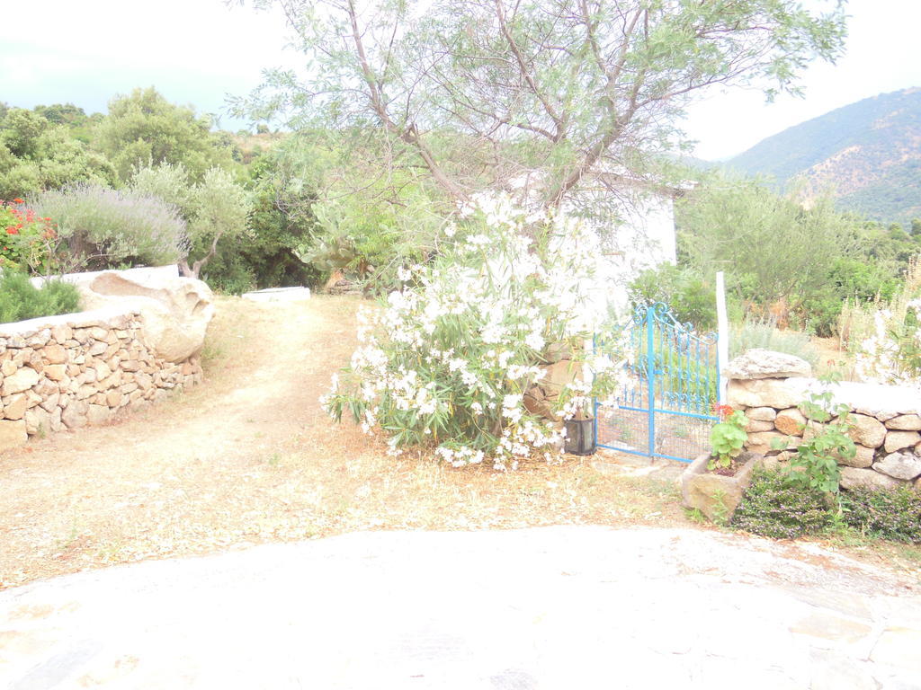 Camisadu Farm stay
