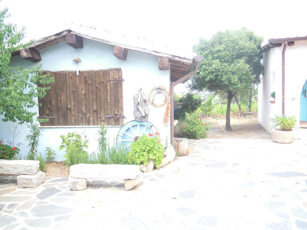 Farm stay Camisadu *