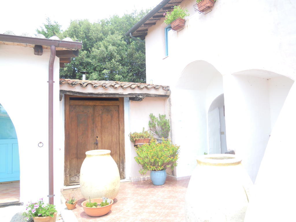 Camisadu Farm stay *