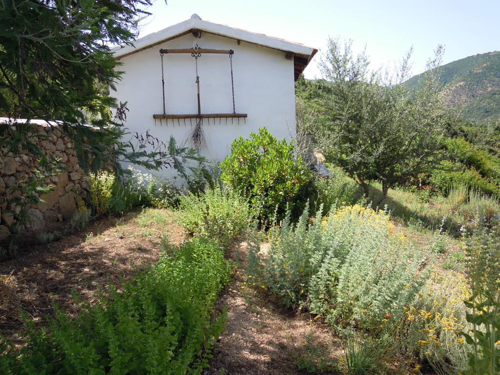 Farm stay Camisadu Oliena