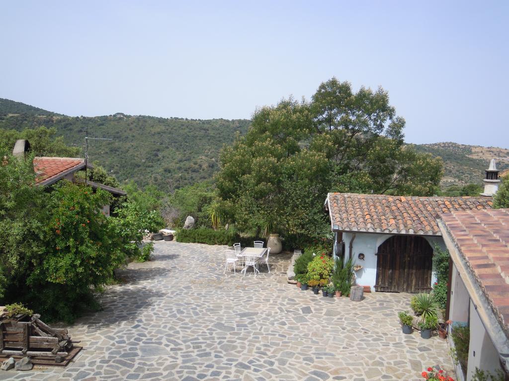 Camisadu Farm stay *