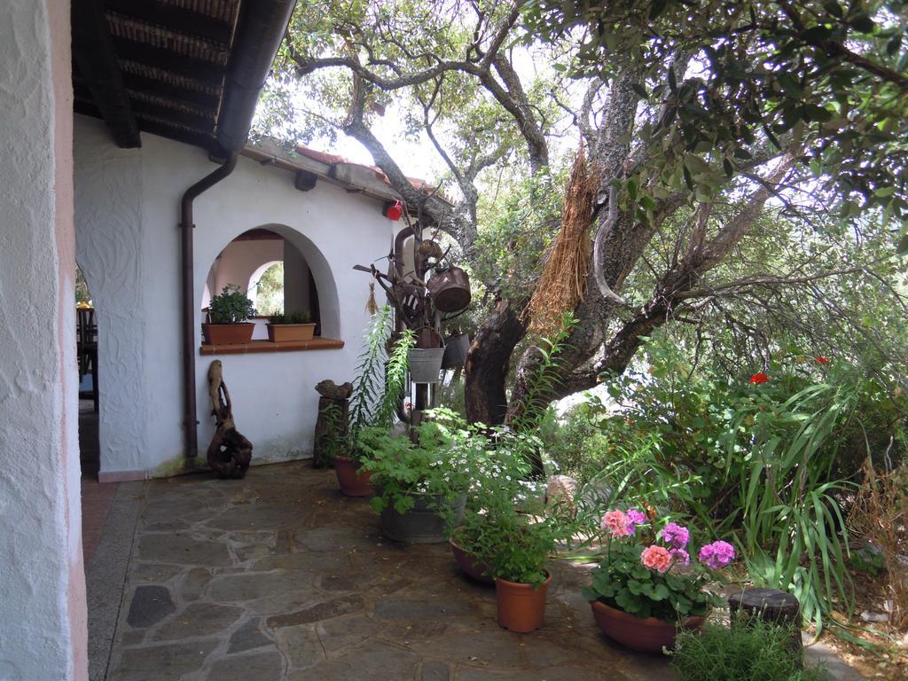 Farm stay Camisadu